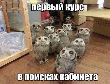 90% студентов учатся неправильно. Что делают остальные 10%?