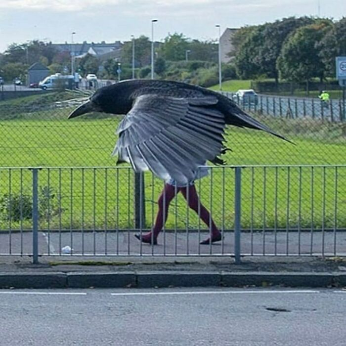 Арина